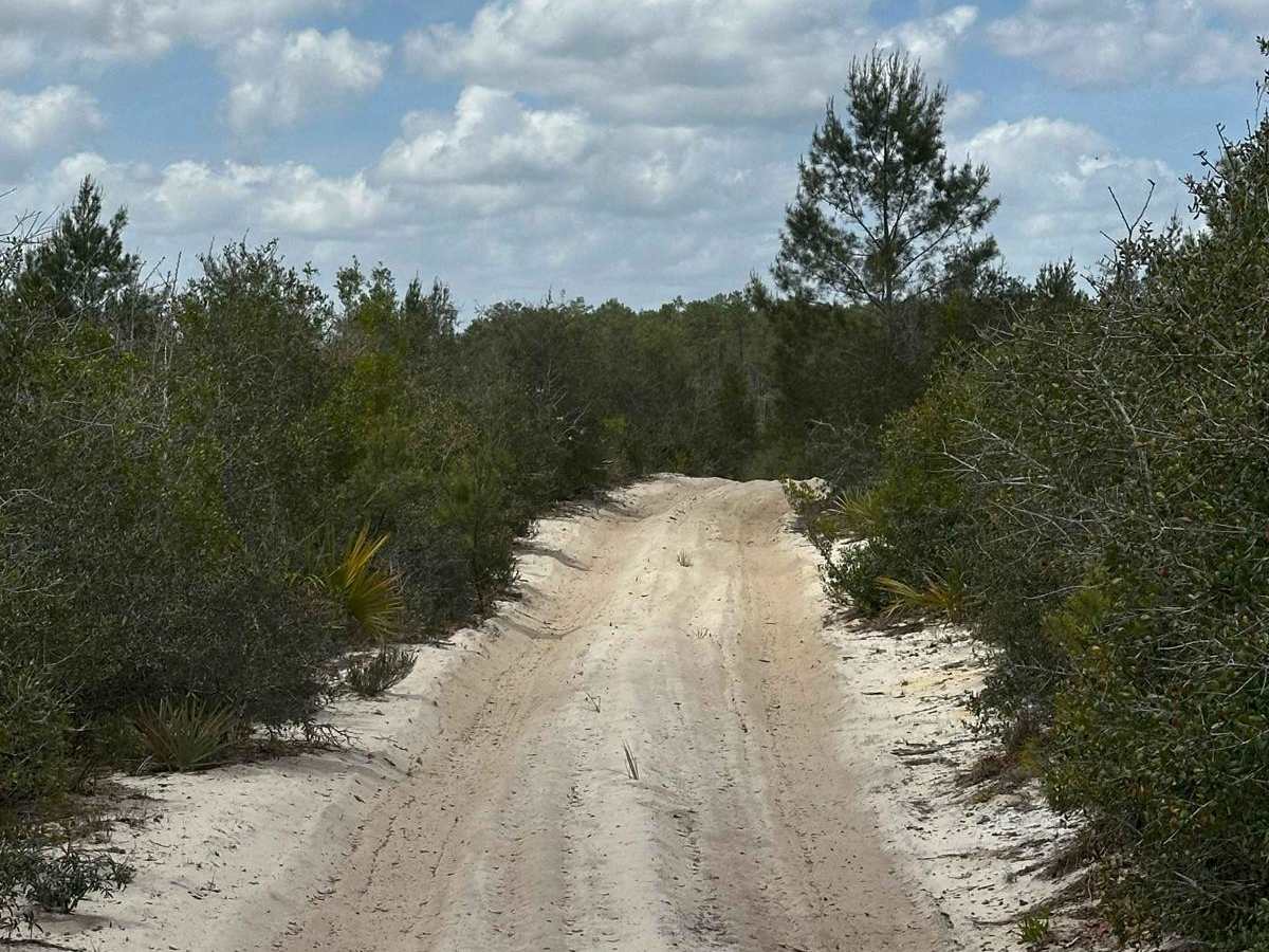 ONF Trail 9-5.2 photo 4