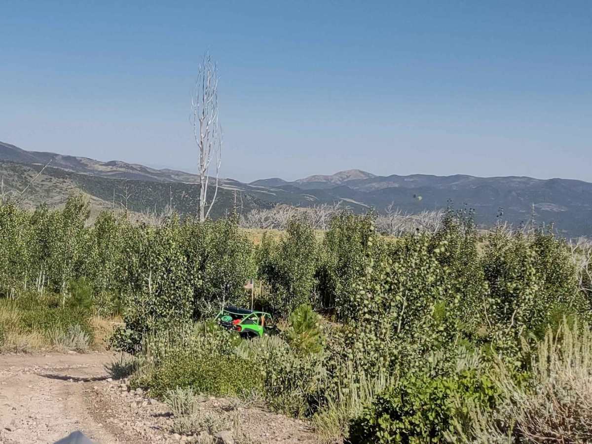 FS Trail #41040 photo 2