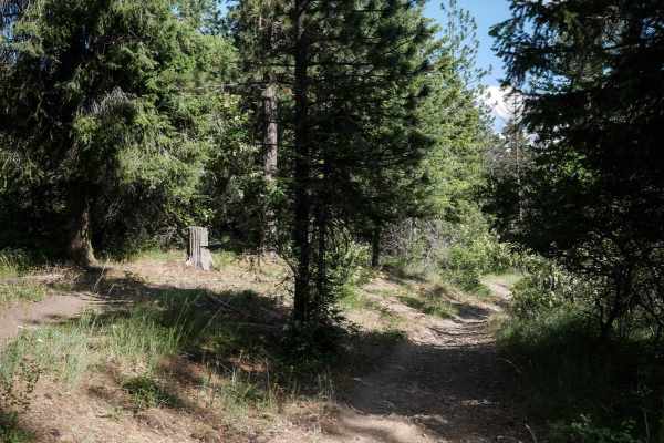 Canfield Mountain- Trail 9