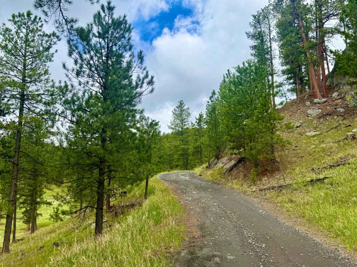 Ruby Gulch Road - FS 738 photo 2