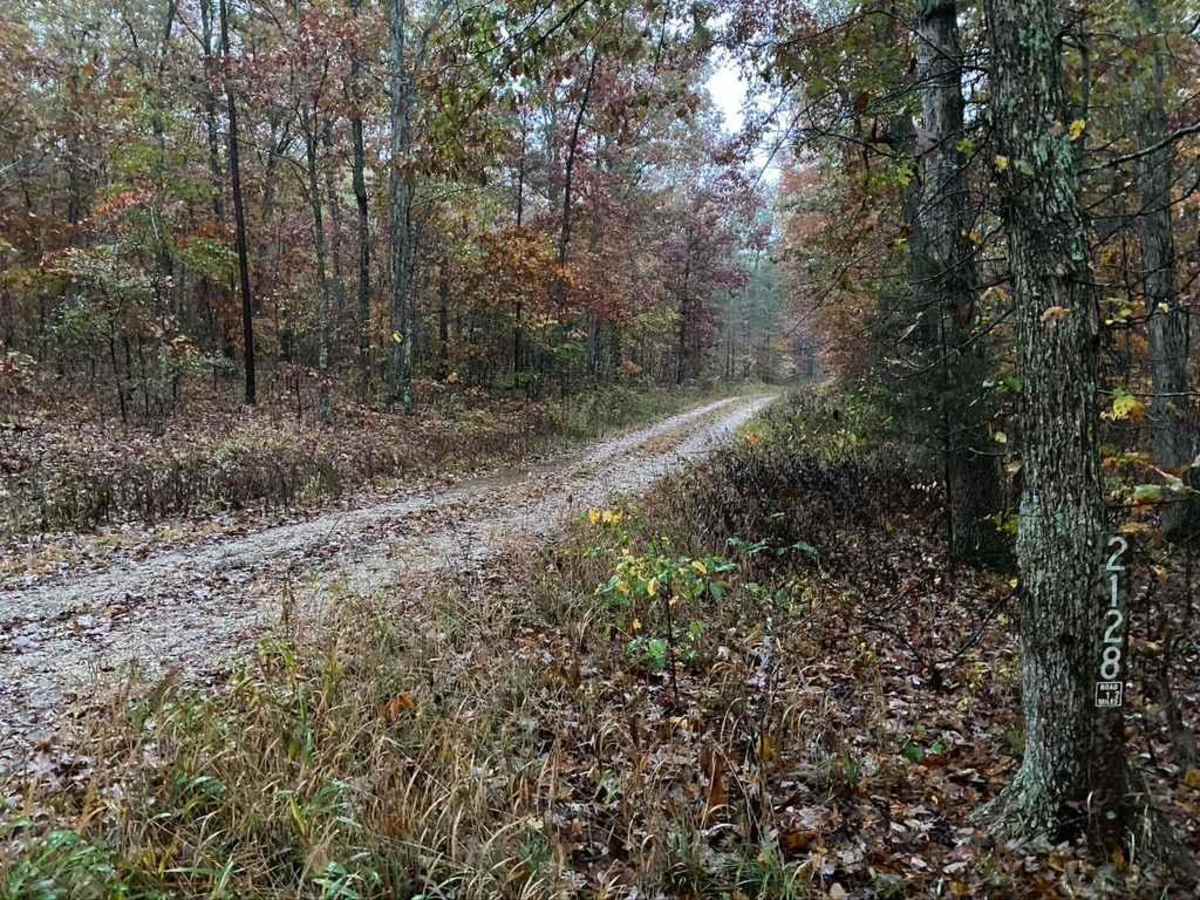 Flip Flop - FS 2128 trail photo