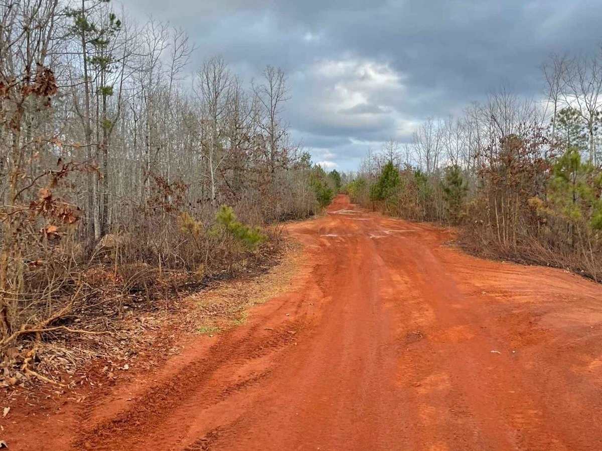 Trail 8 photo 4