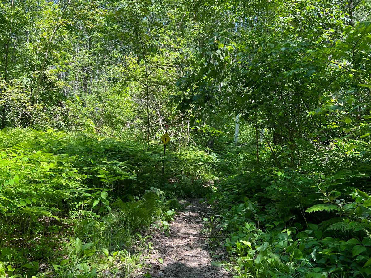 Paul Bunyan South Border trail photo