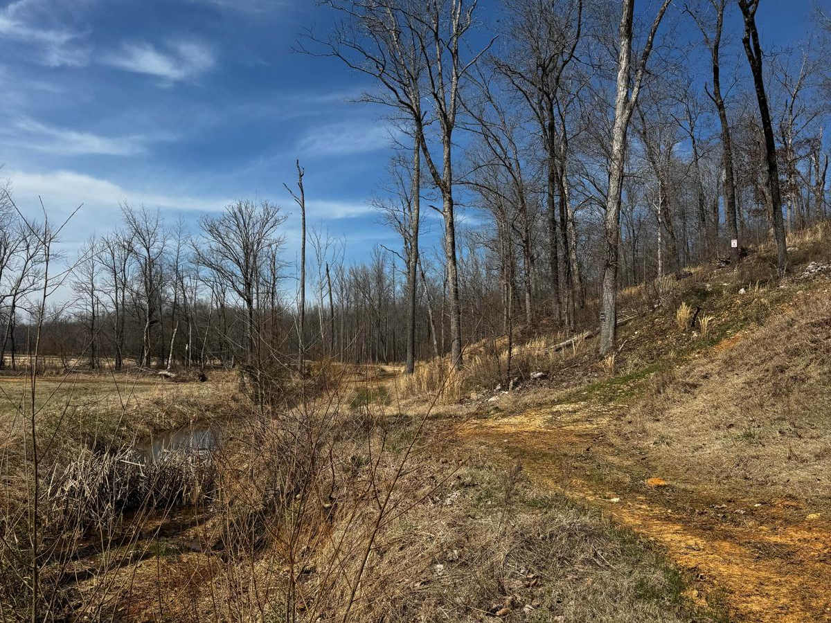 Hillside Climb Access photo 5