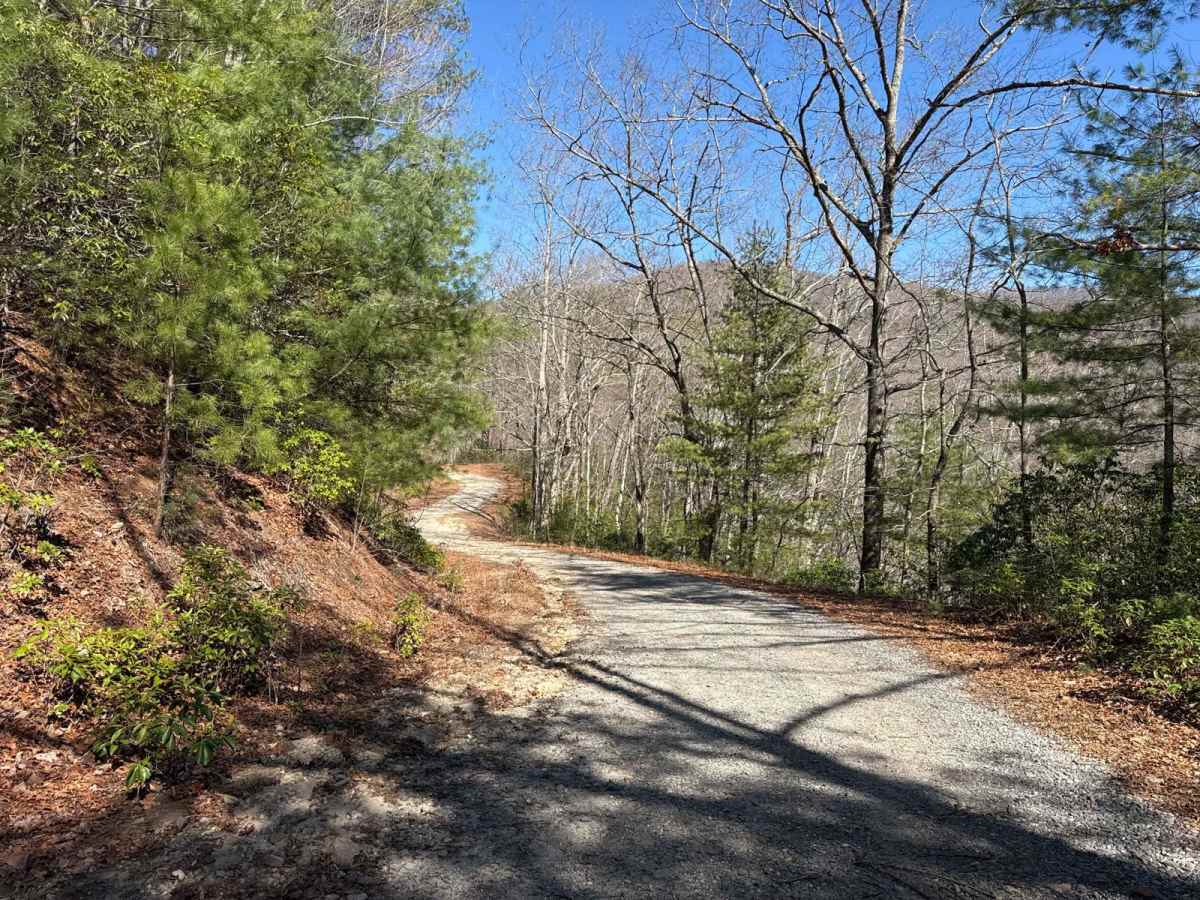 Corbin Creek - FR 698 trail photo