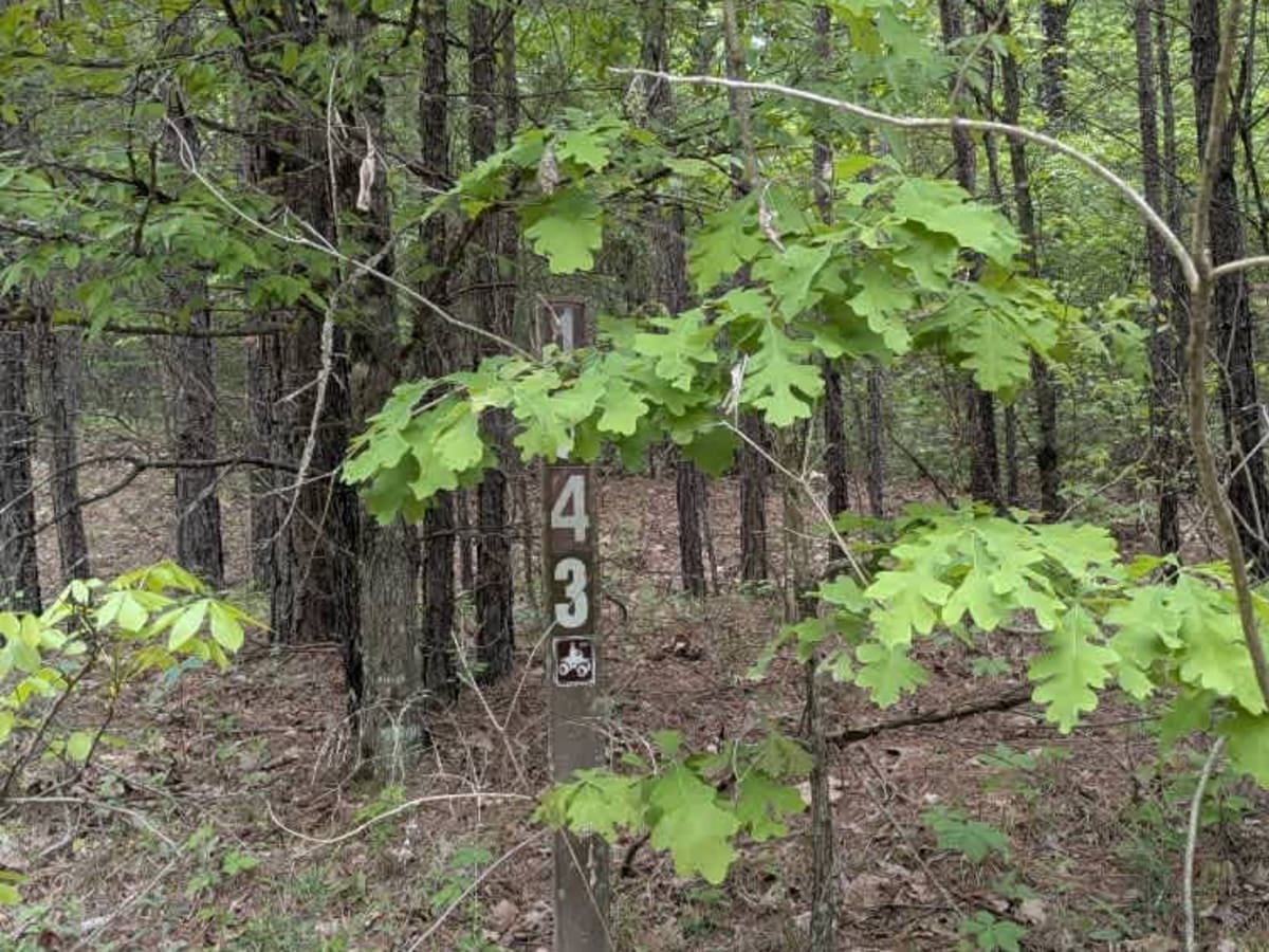 Hickory Grove photo 4