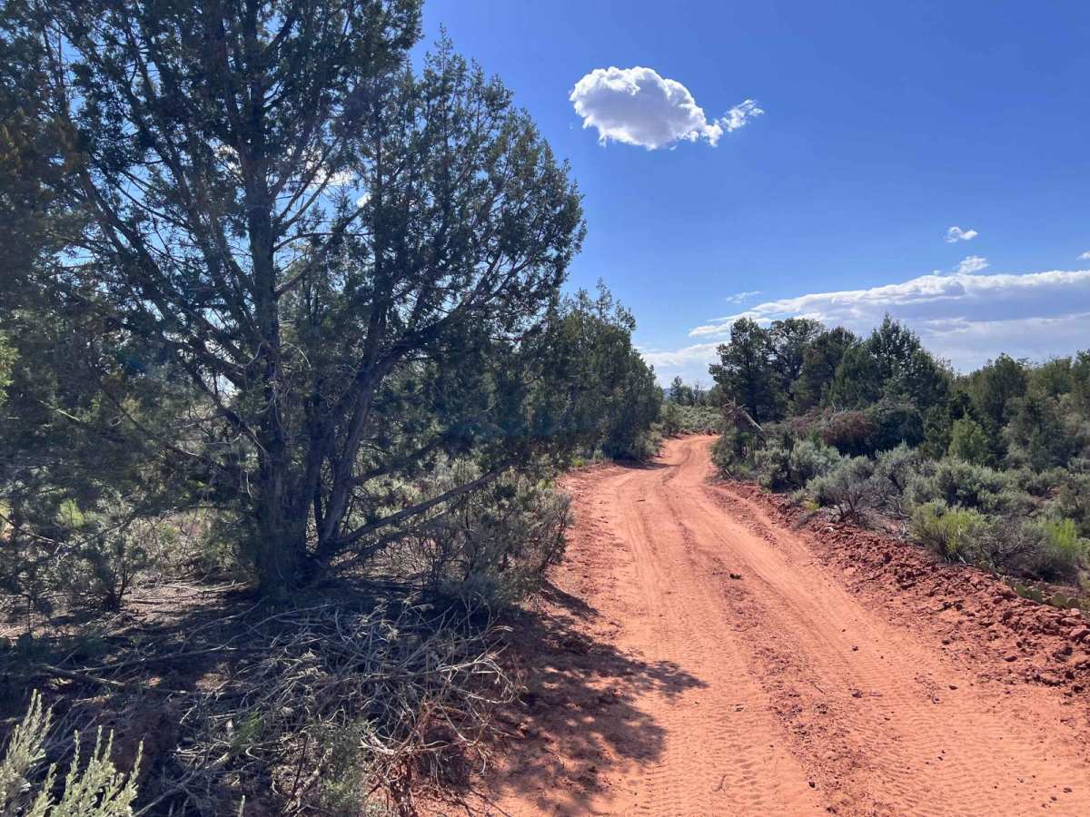 Yellowman/Gooseberry Mesa photo 3