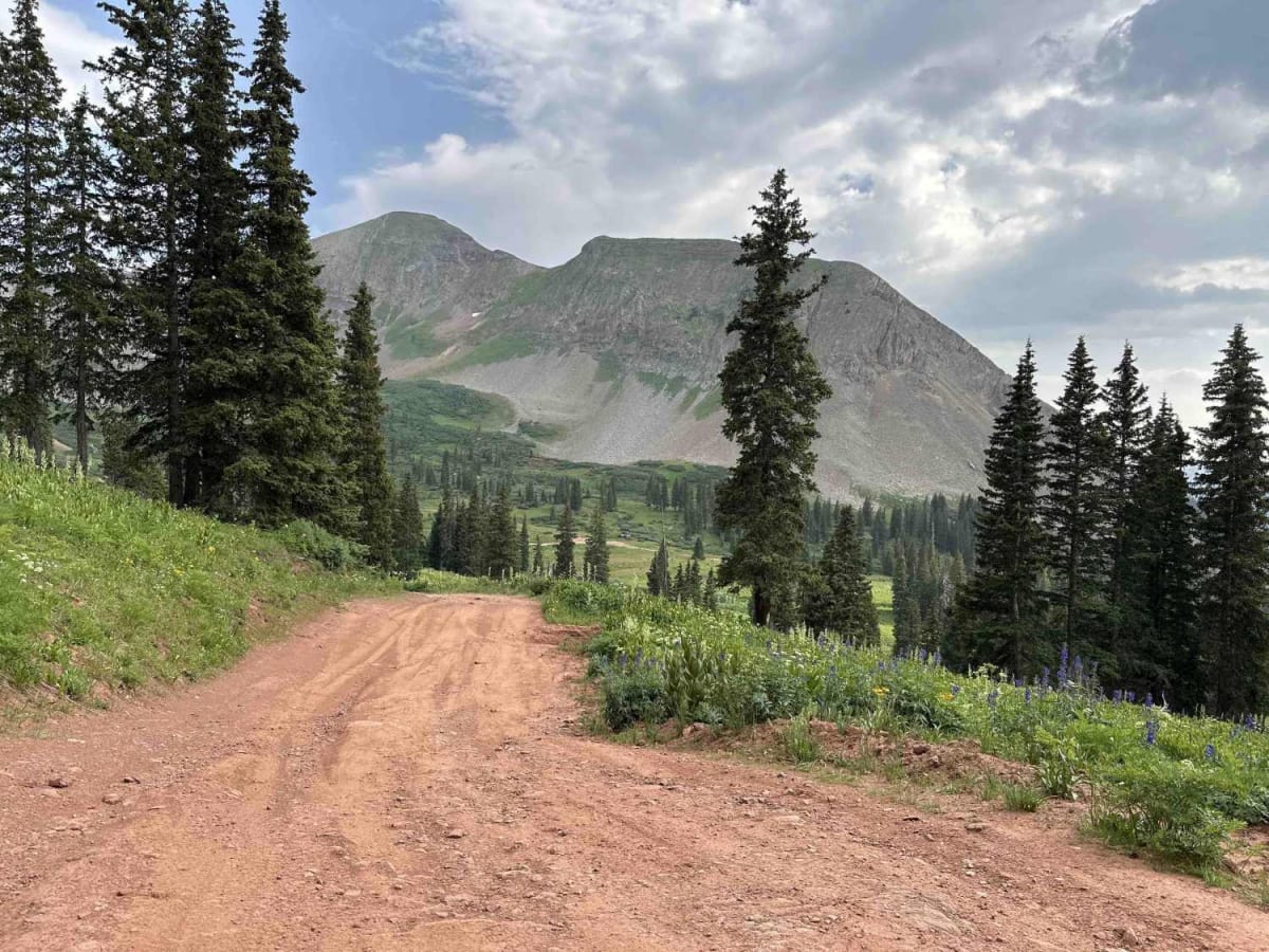 La Plata Canyon/CR 124 trail photo