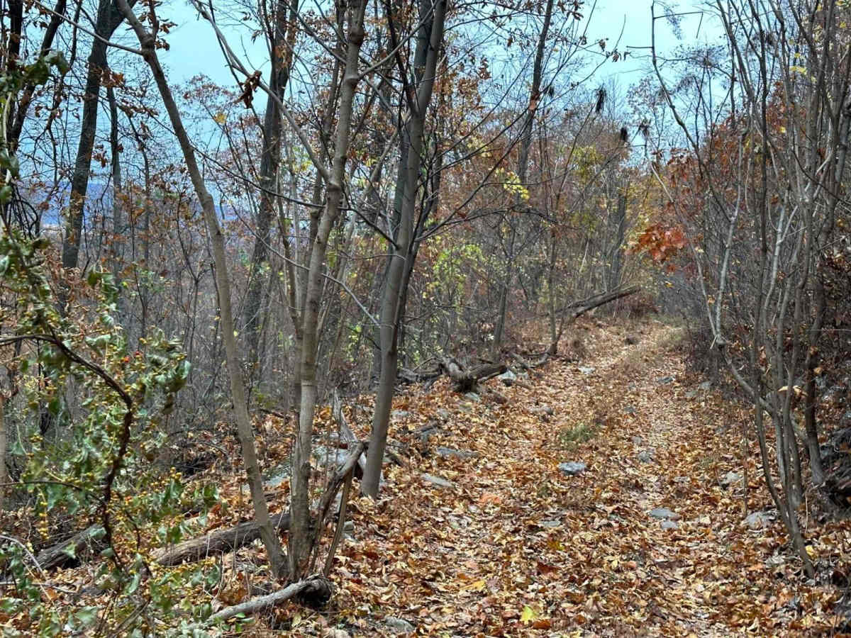 J3 Blue trail photo
