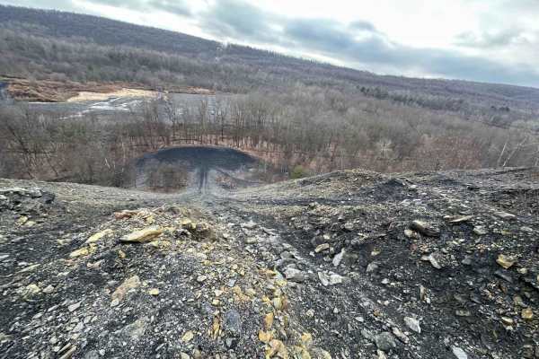 Locust Gap 8