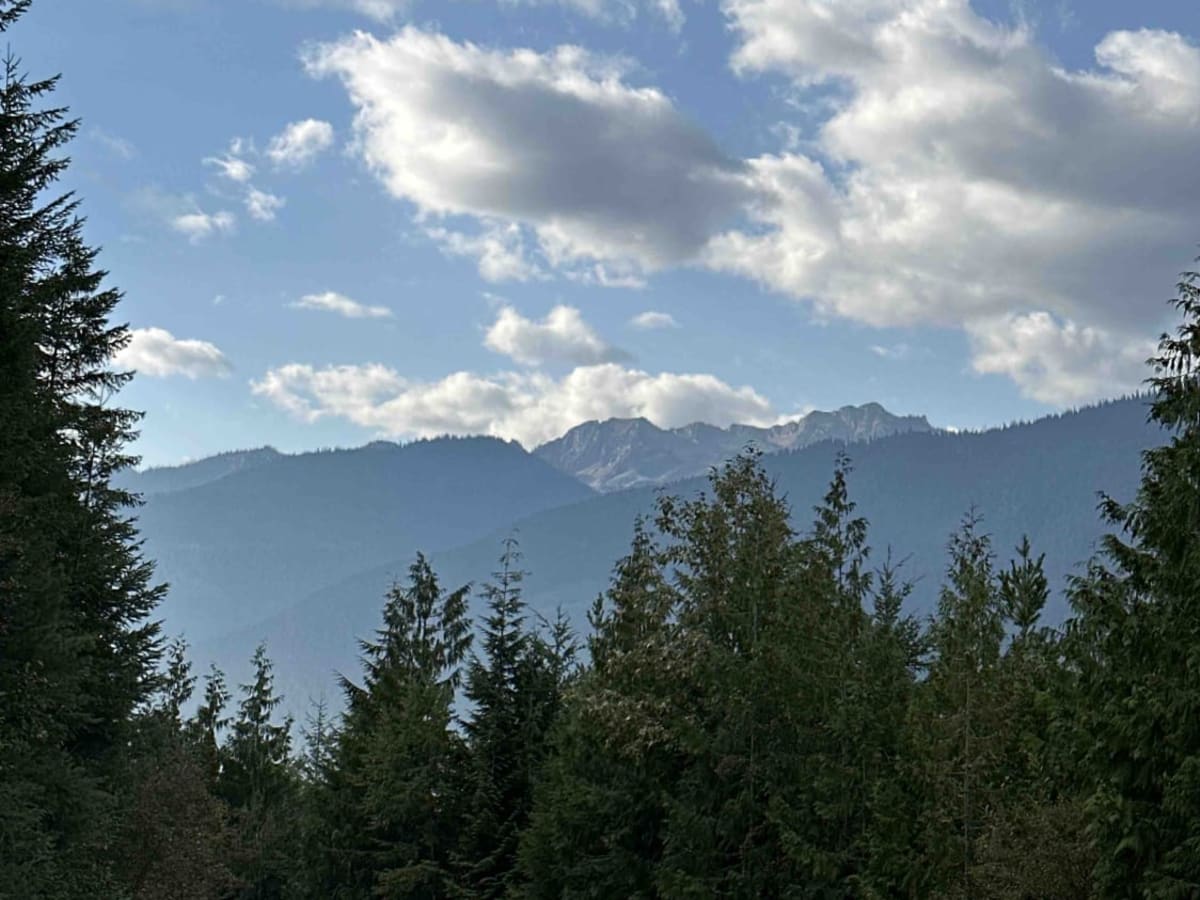 Trout Lake photo 4