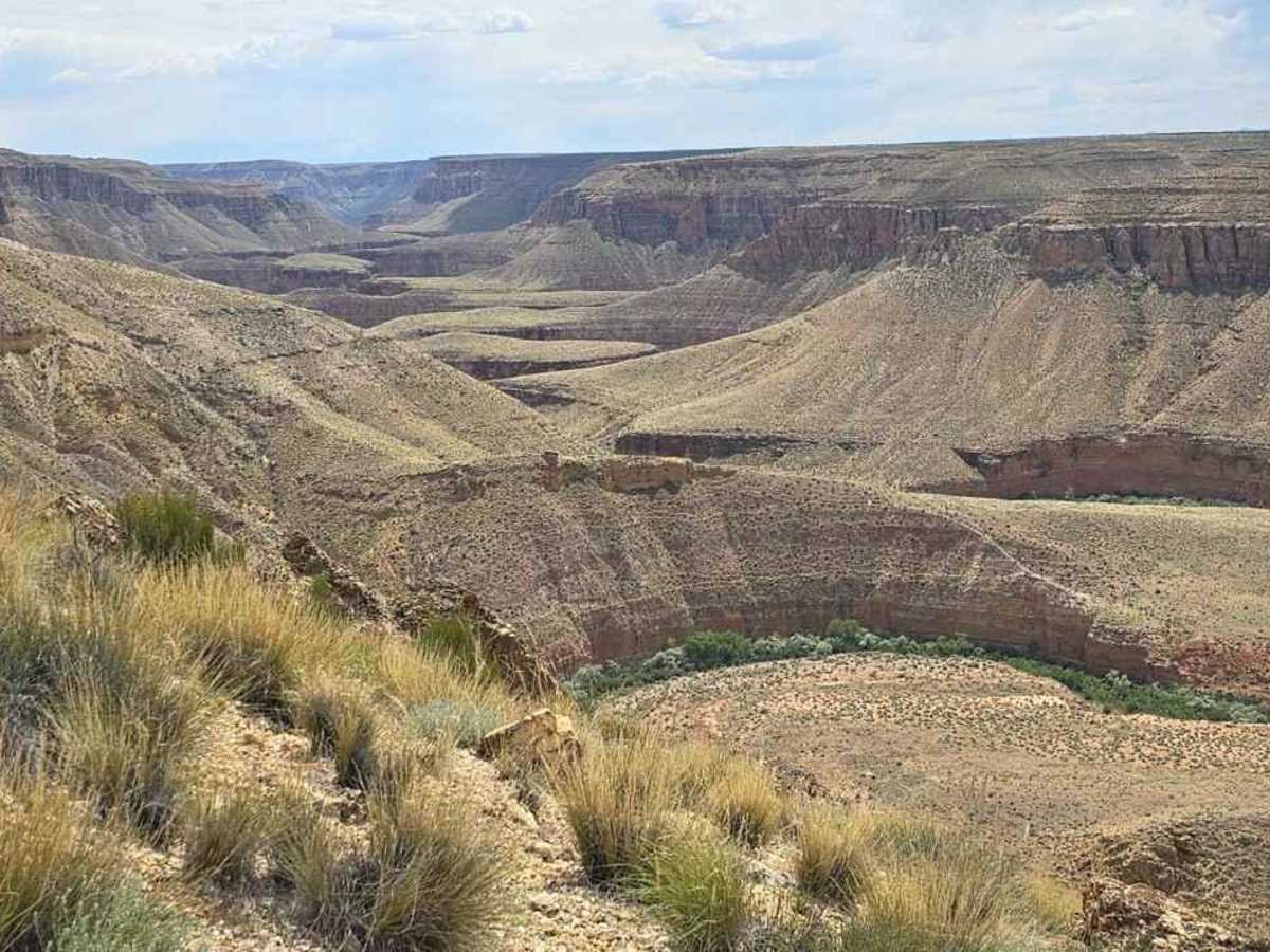 Swapp Tank Trail - BLM176 trail photo