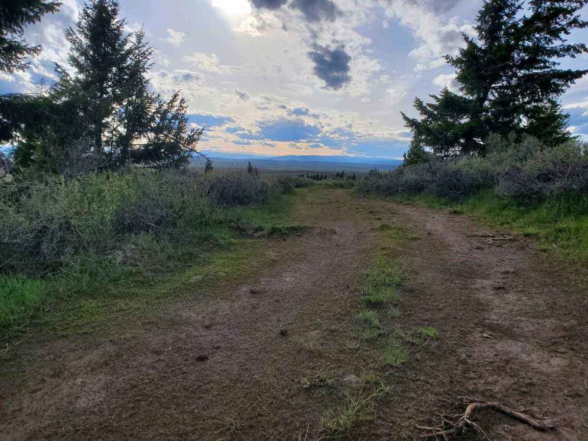 Collapsed Lava Dome Trail photo 4