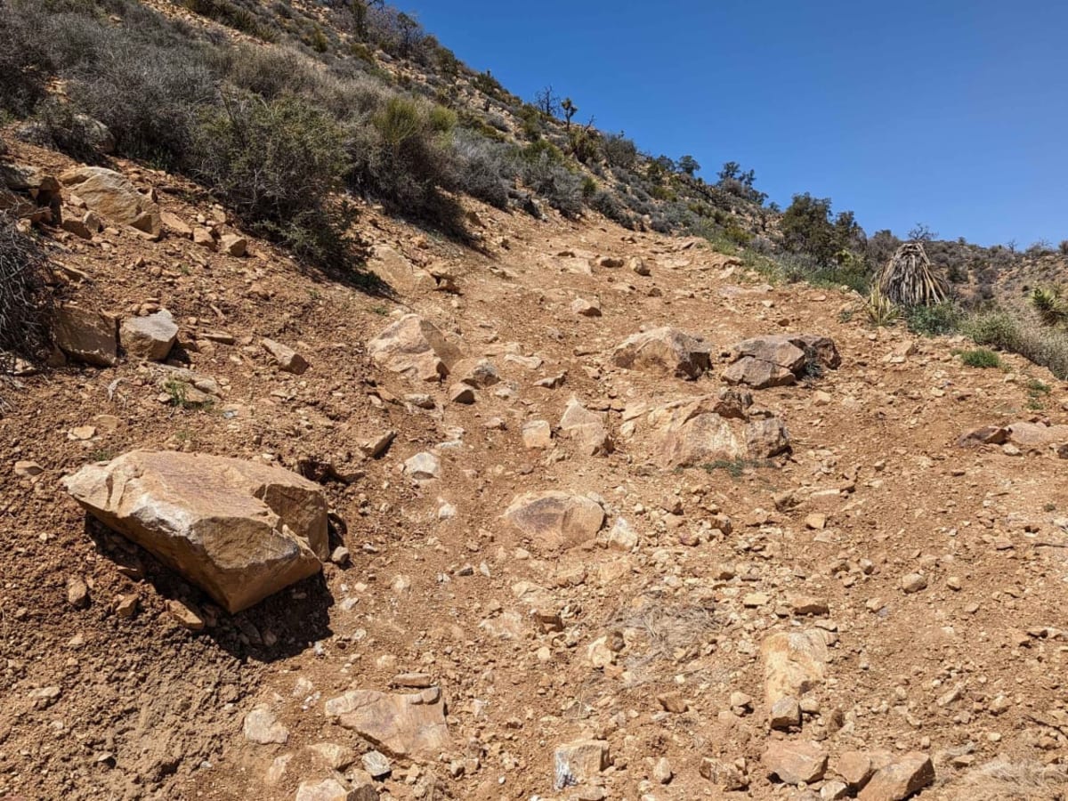 BLM C2340 photo 2
