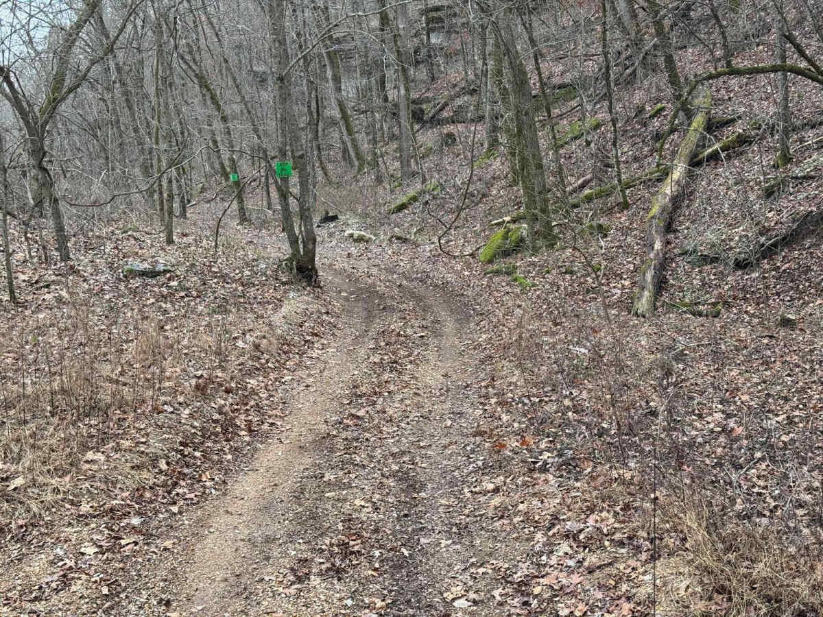 Green 348 trail photo