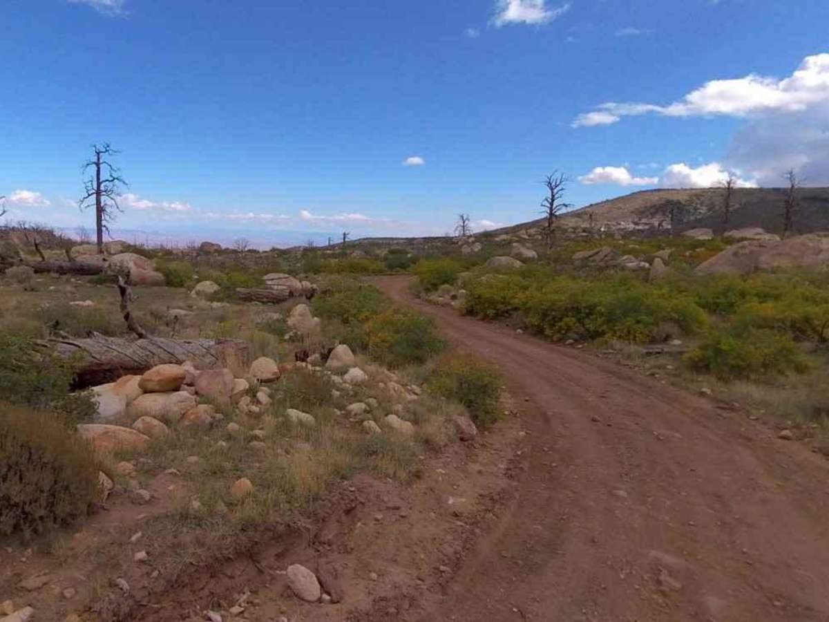 The Horn Road-BLM14000 photo 6
