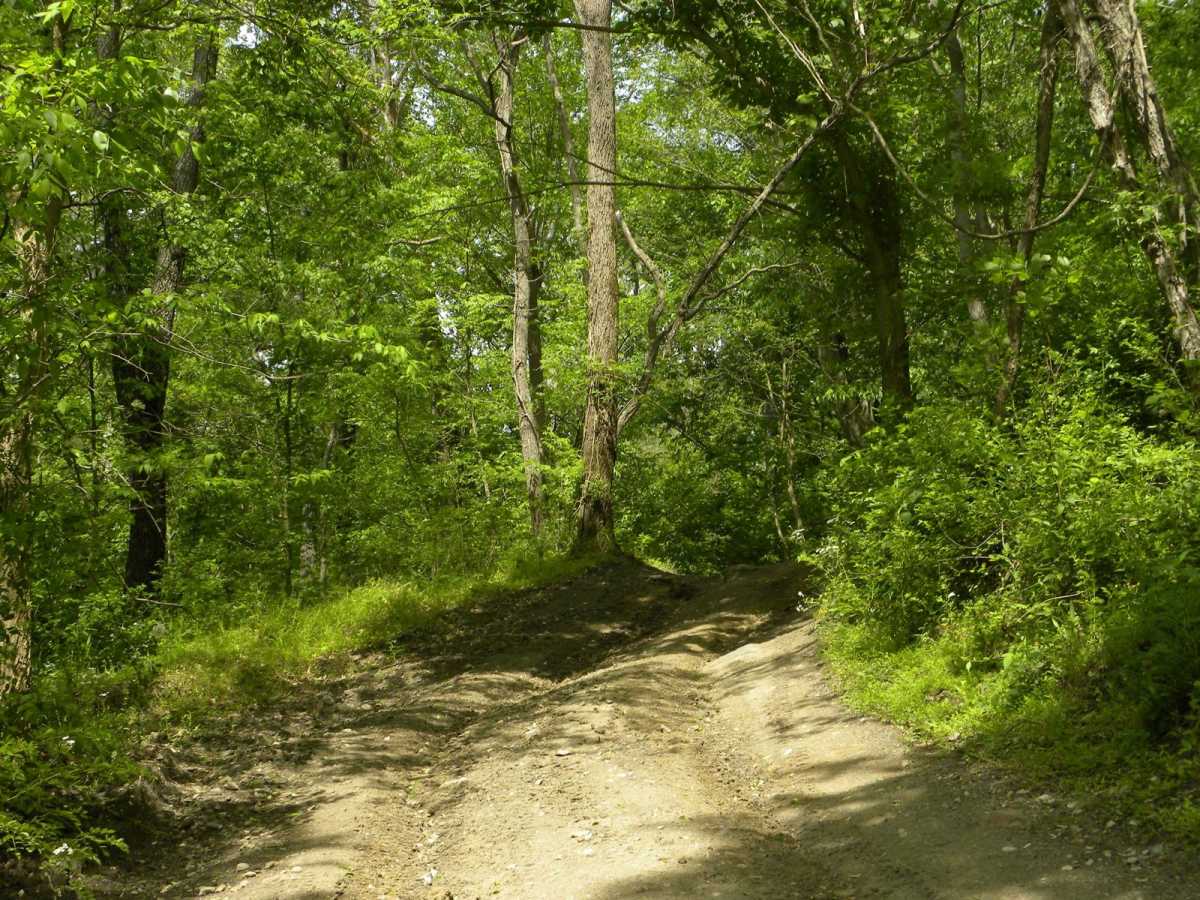 Trail 1 photo 4