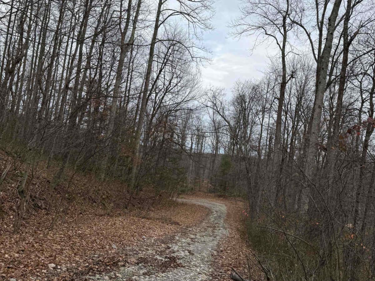 Spruce Run Road photo 4