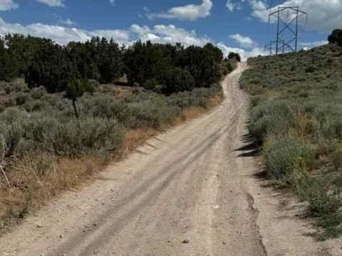Lake Mountain East trail photo