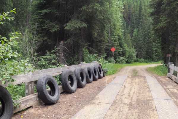 Snowshoe Pass - FSR 488
