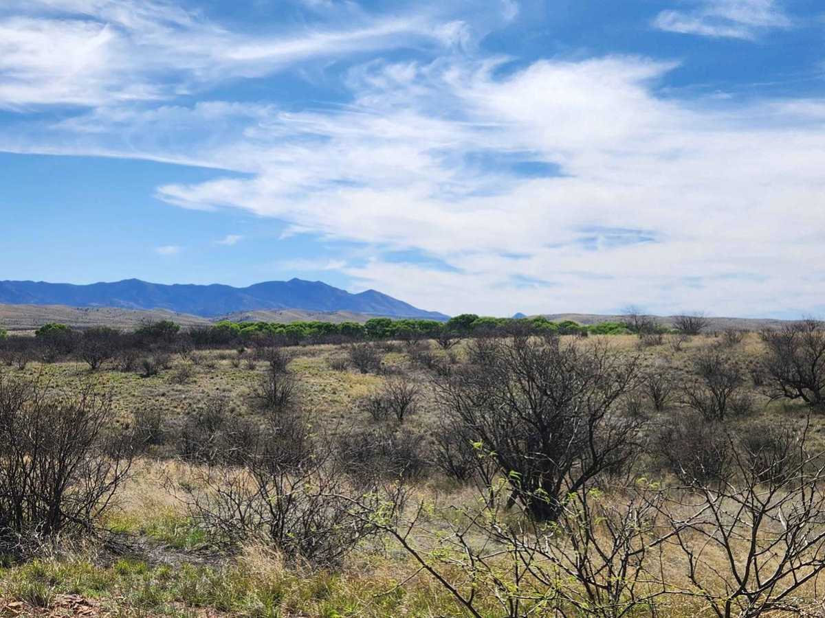 Andrada Tank Loop FR 6905 photo 2