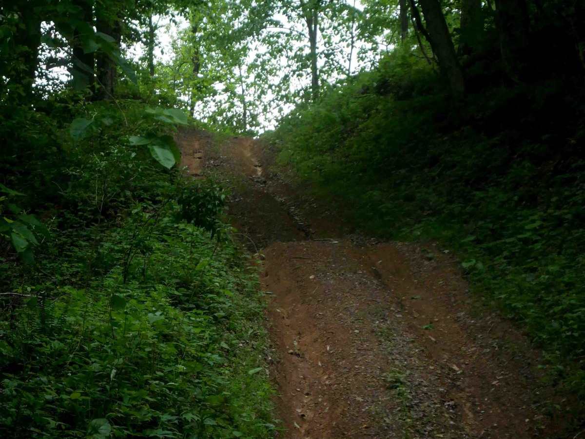 MV78 photo 3