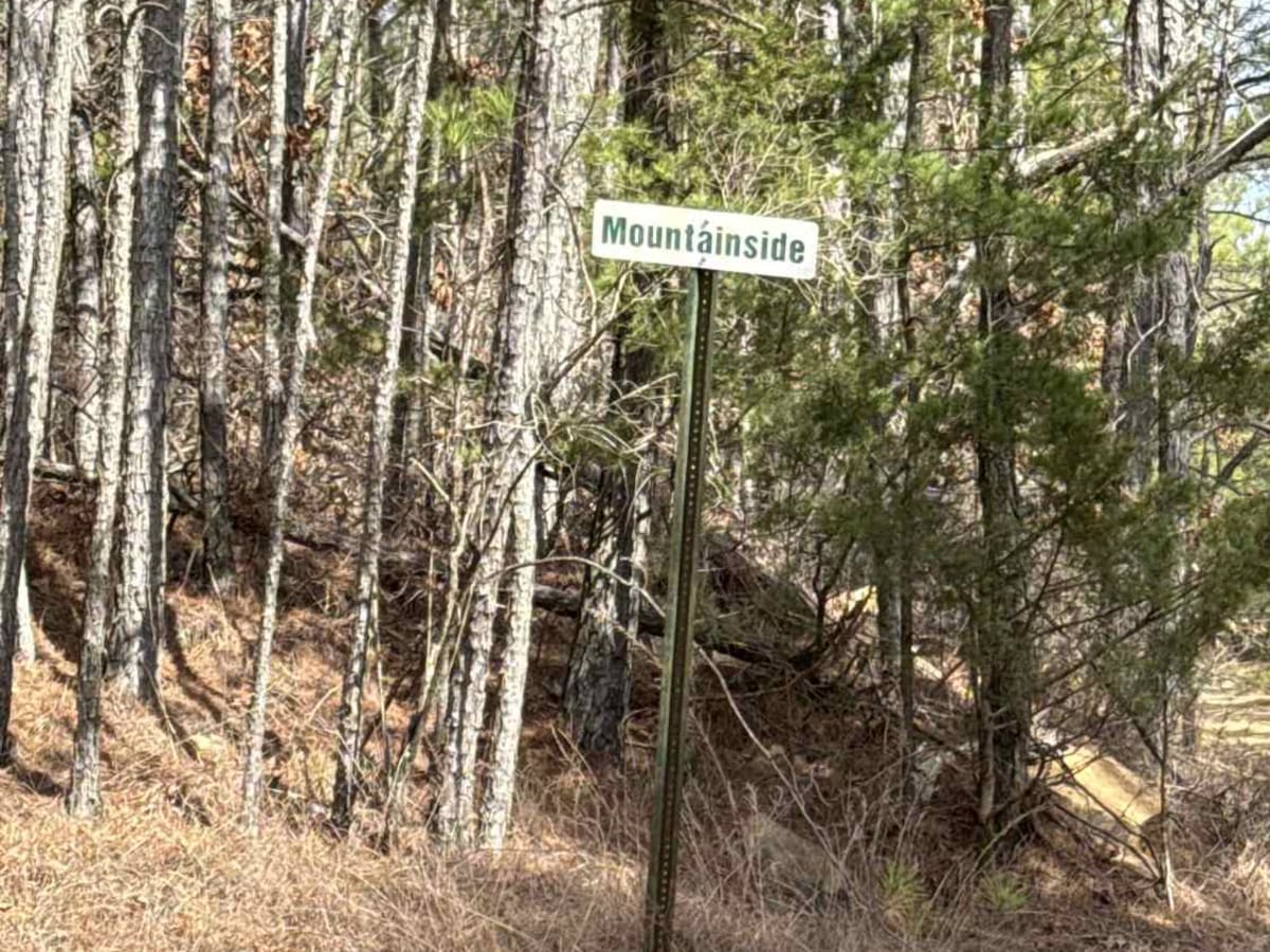 #6 Mountainside trail photo