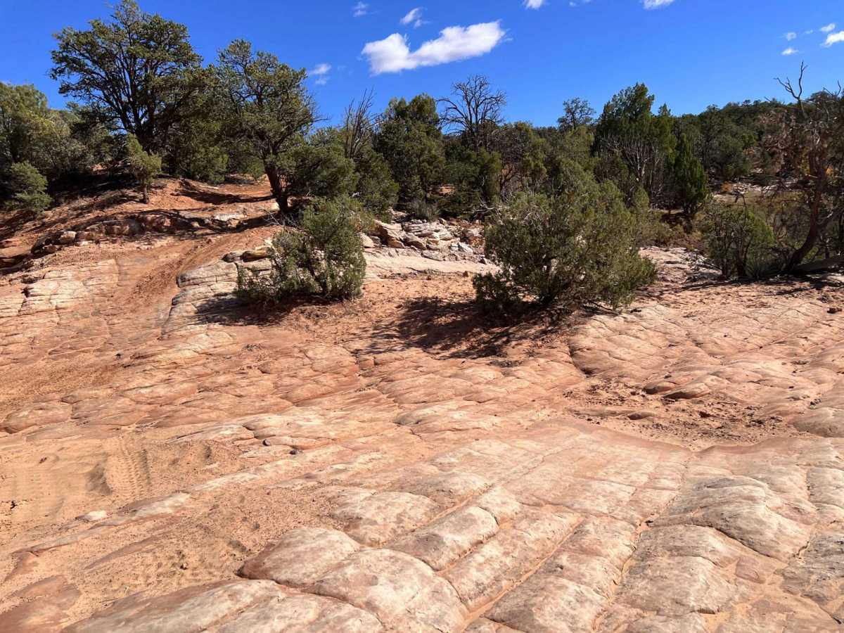 Hog Canyon 3 - City Loop (BLM HC3) photo 3