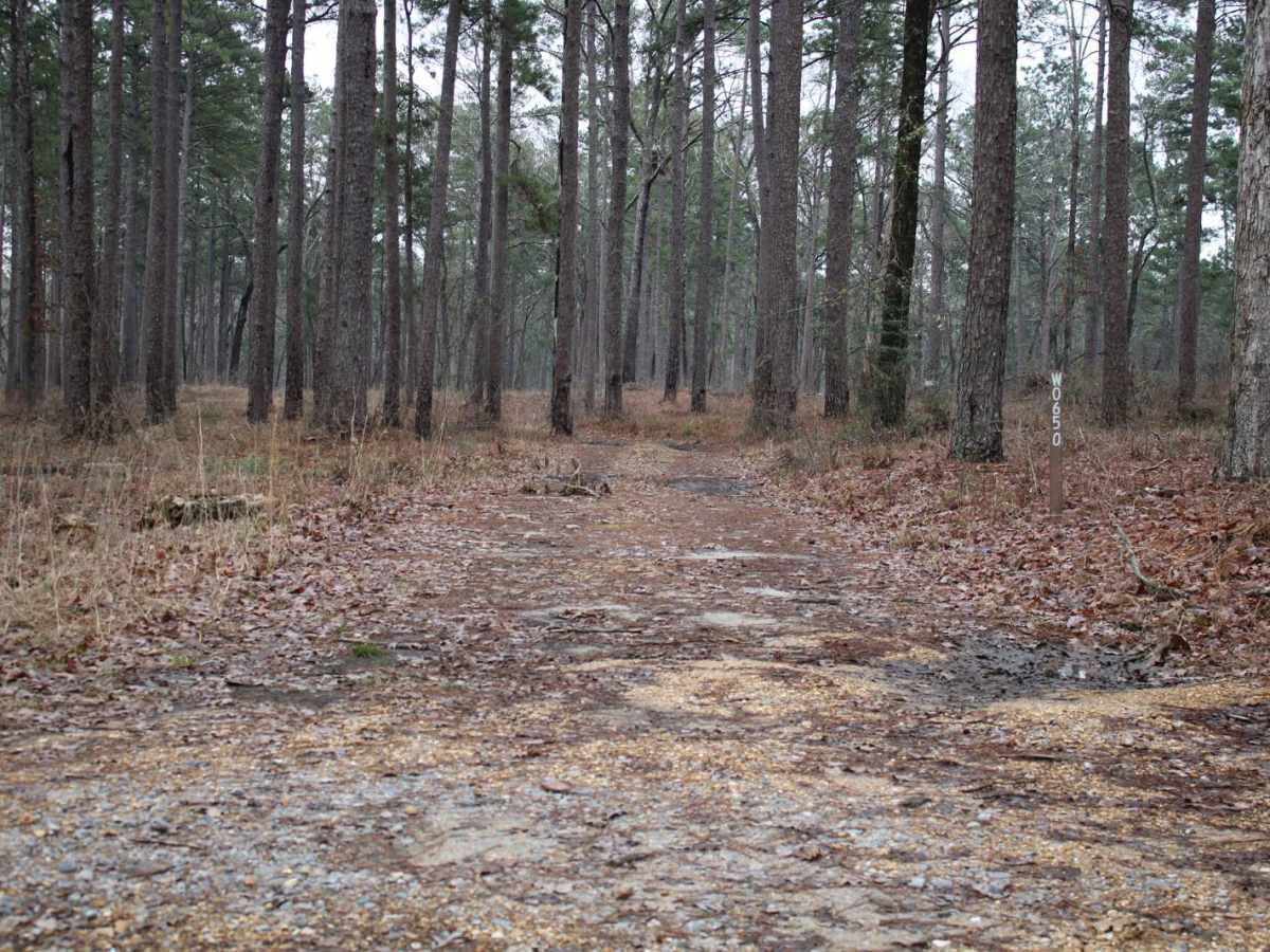 Dickerson Road (522) photo 4
