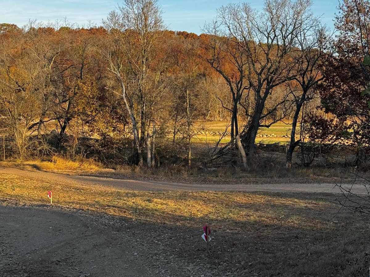 MX Track trail photo