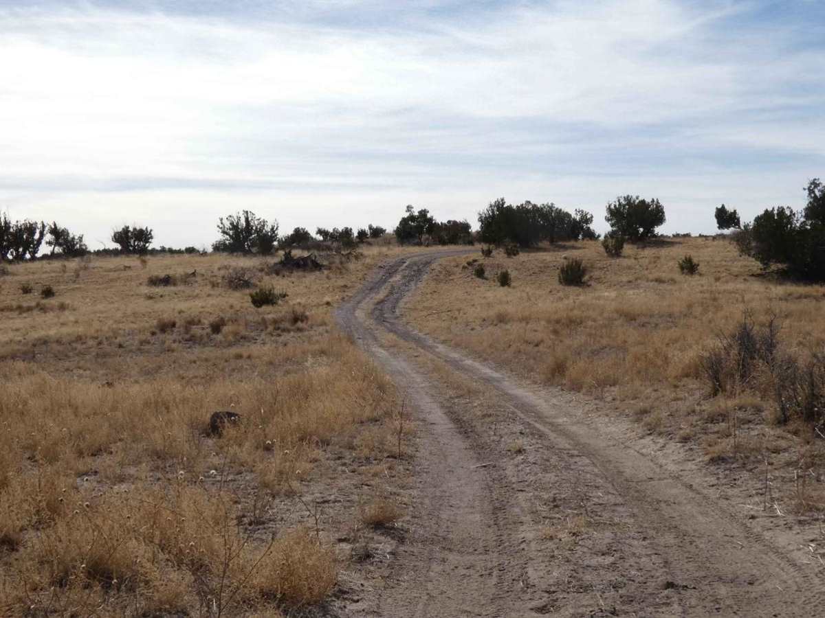 Gallinas Canyon photo 4