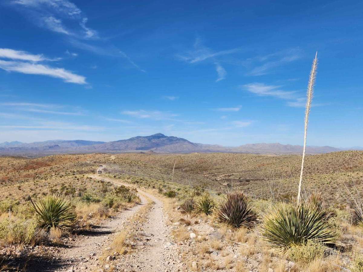 Lower Wakefield Canyon trail photo