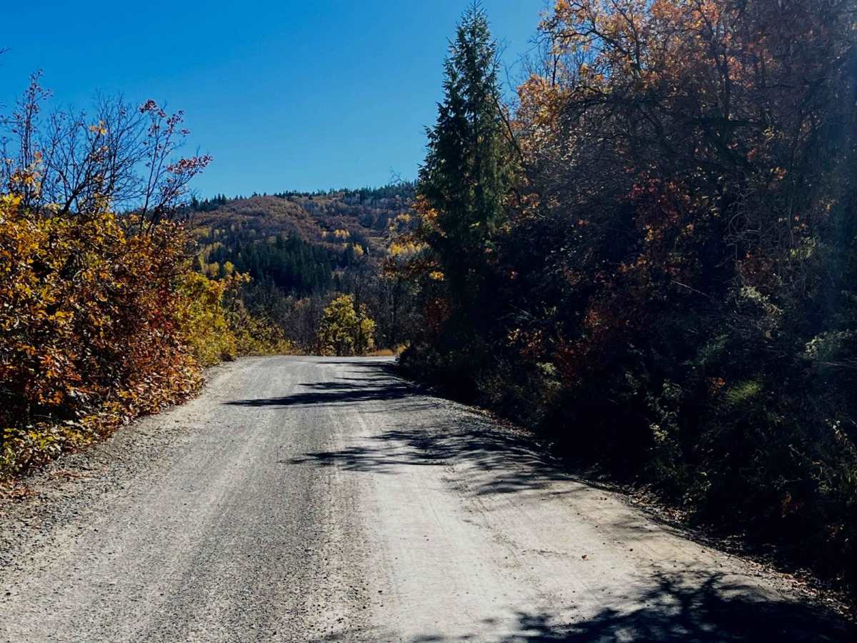 Right Fork Hobble Creek Road photo 2