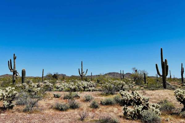 9058 Old Corral