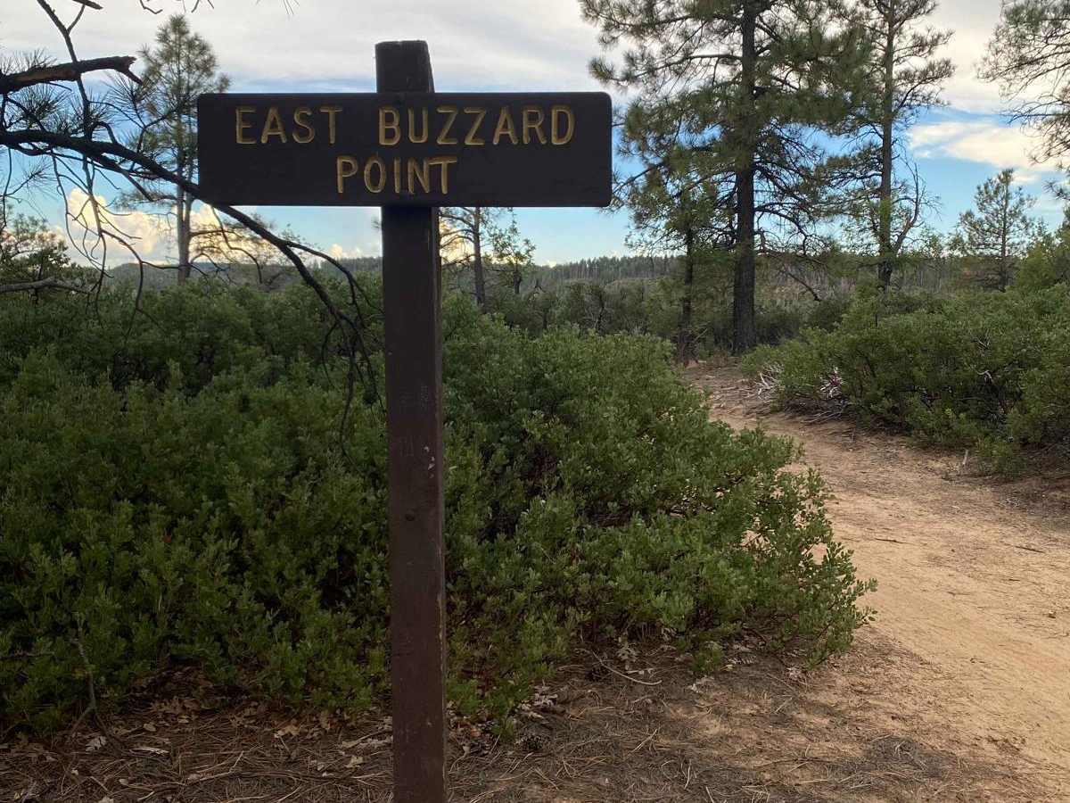 East Buzzard Ridge photo 6