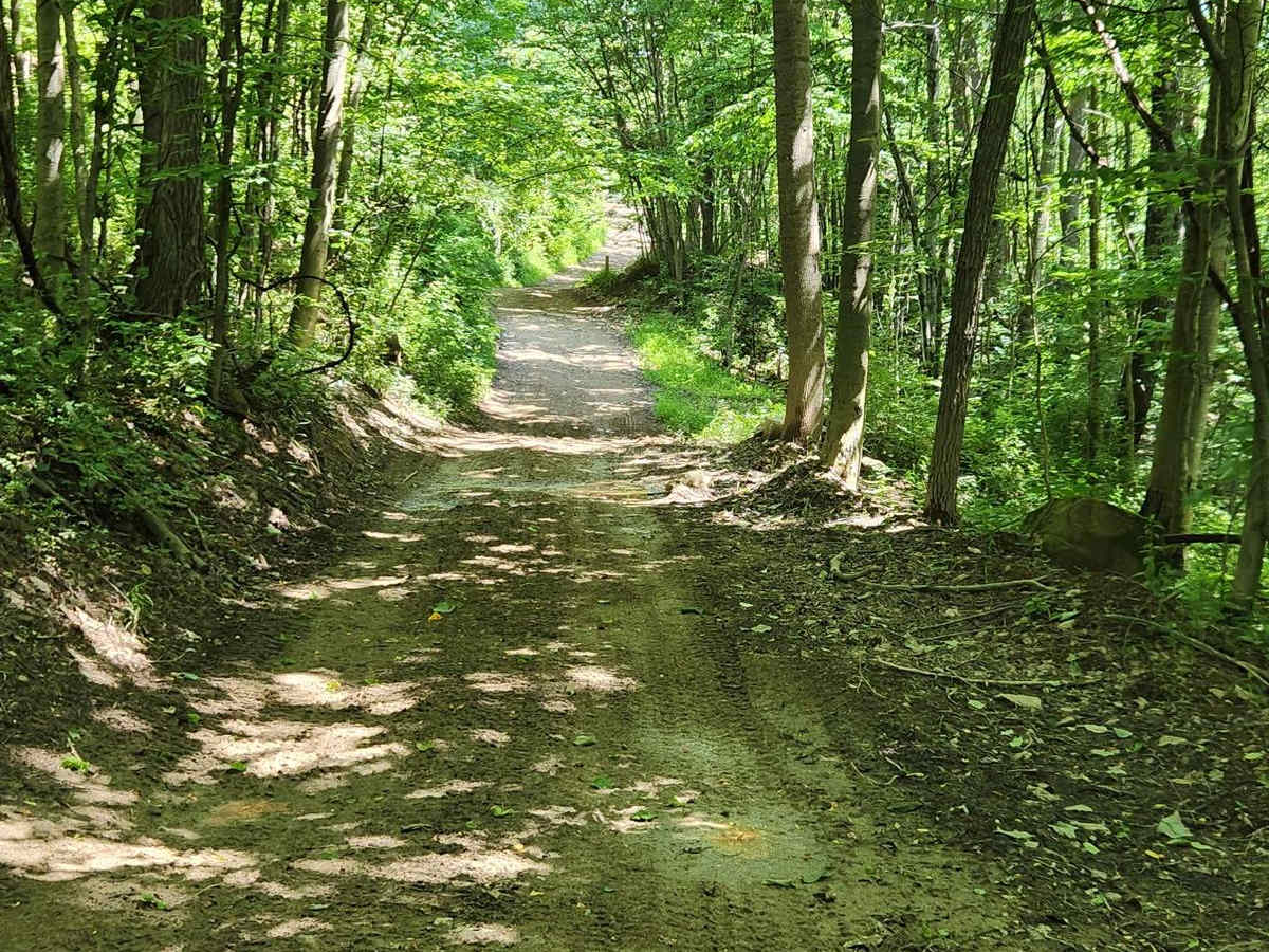 Lower Branch - Rock Run Recreation Area photo 2