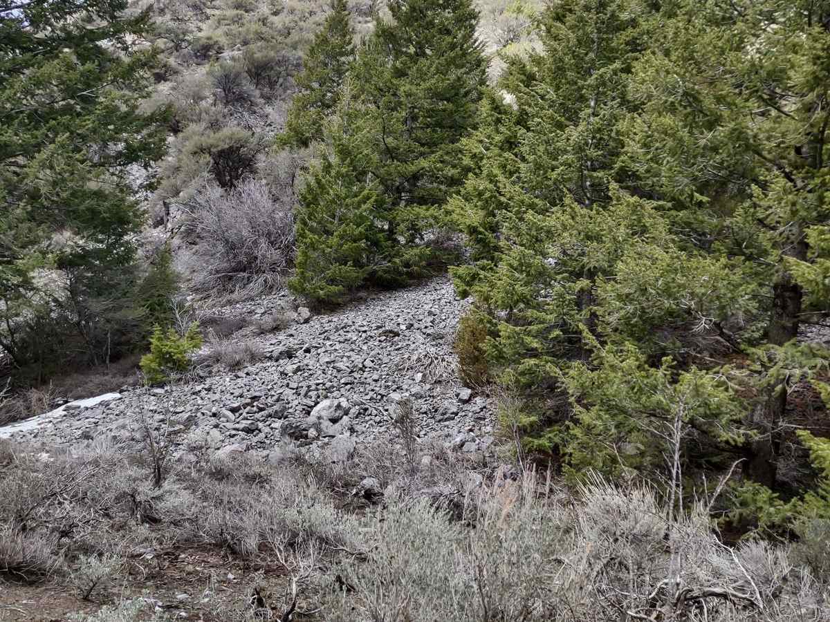 Wood Canyon to Arco Pass photo 2