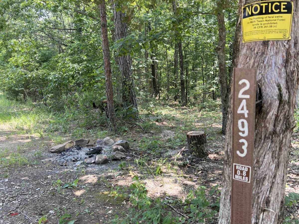 Peter Cave Hollow 2363 photo 4