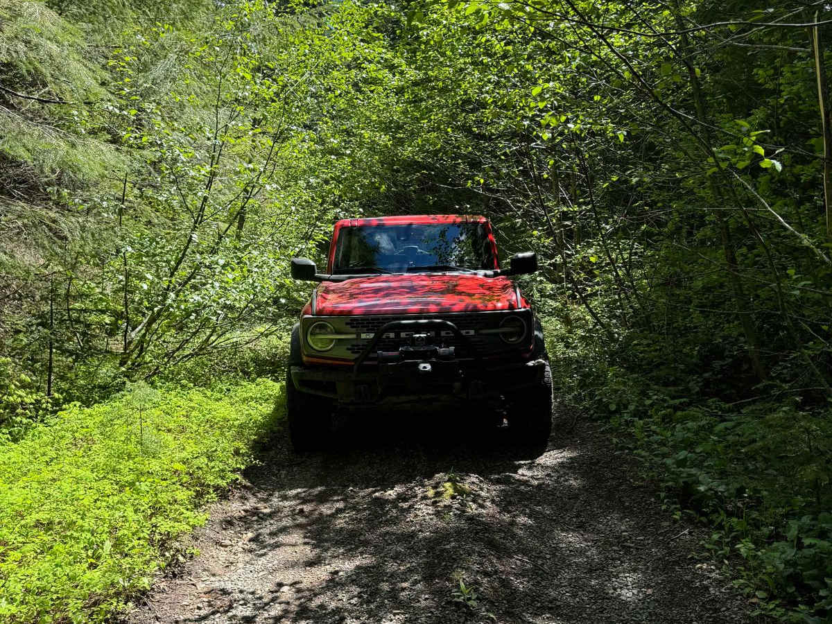Tatoosh photo 4