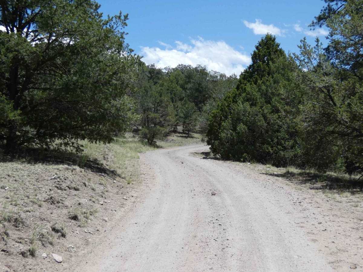 Swingle Canyon FS62 photo 4