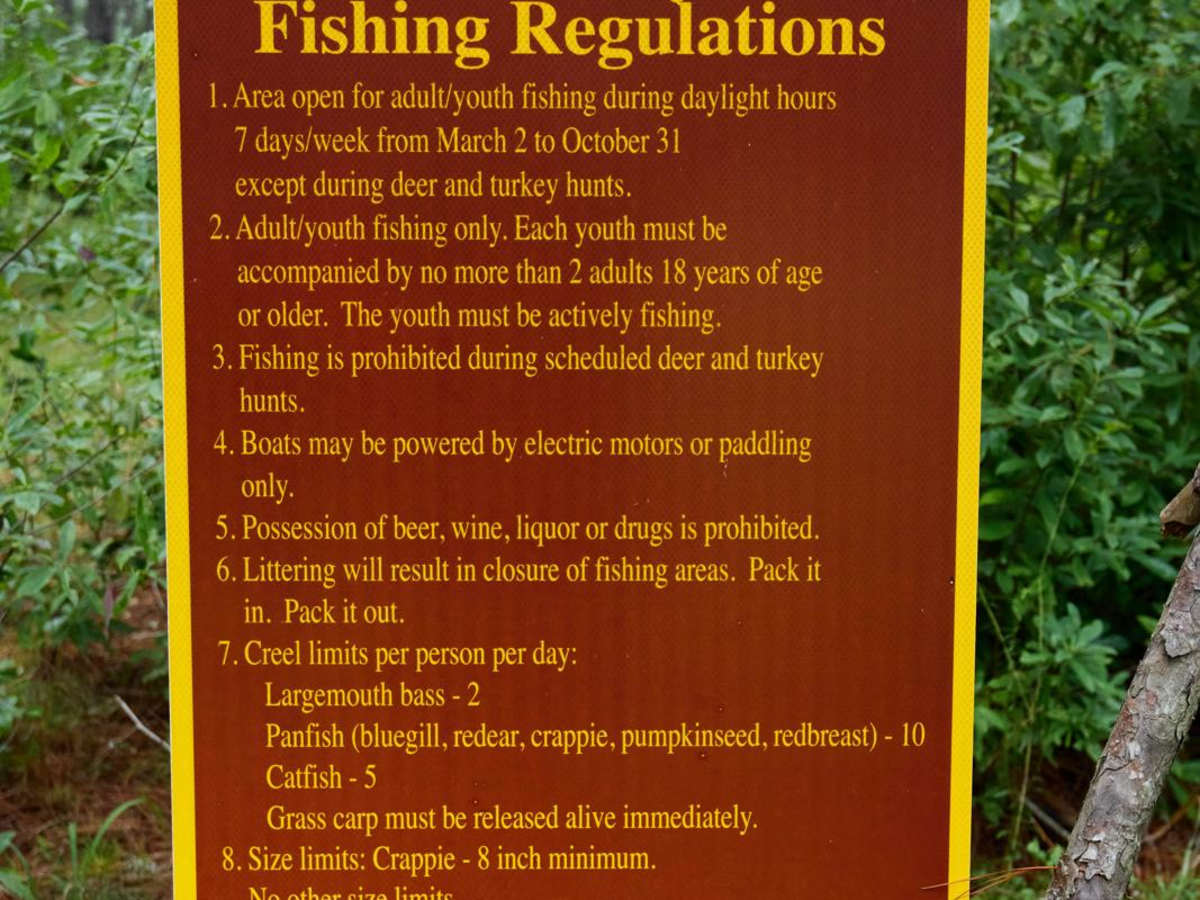 Bonneau Ferry WMA - Pond Recreation Area photo 4