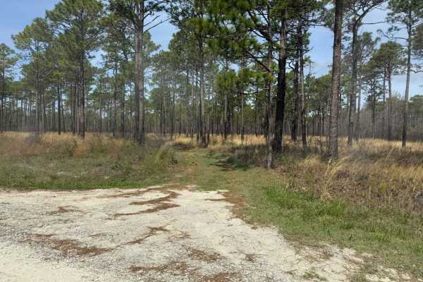 Pettiford Creek Trail 14