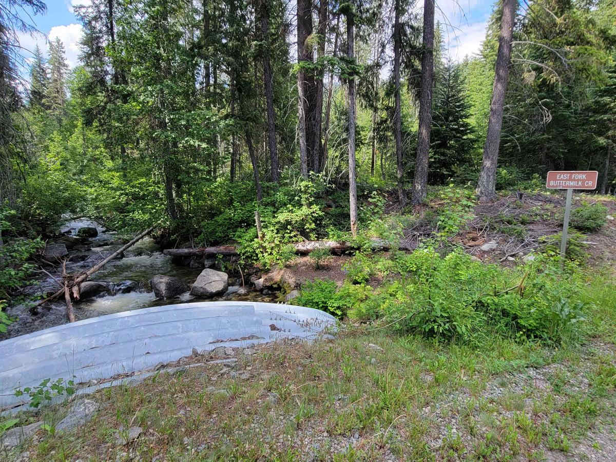 NF 500 - West Fork Buttermilk photo 2