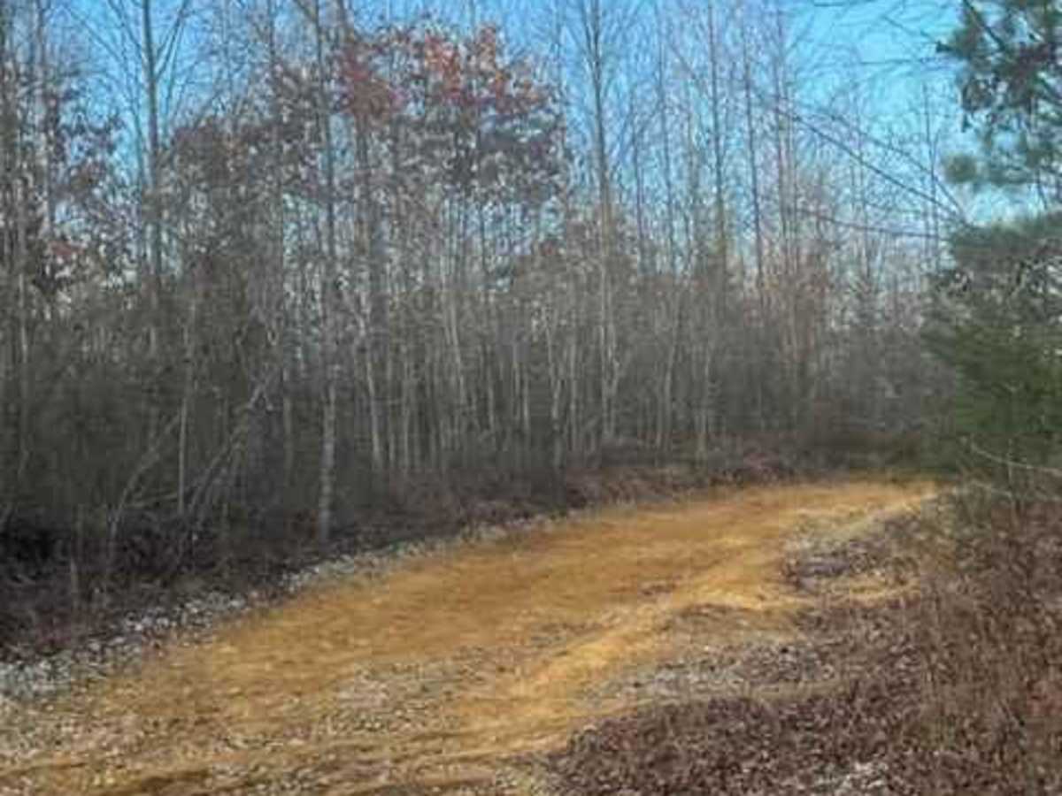 Coalmont OHV Company Farm Road photo 5
