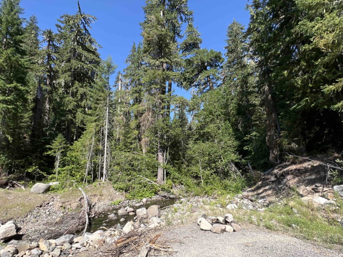 Fisher Point 1164 trail photo