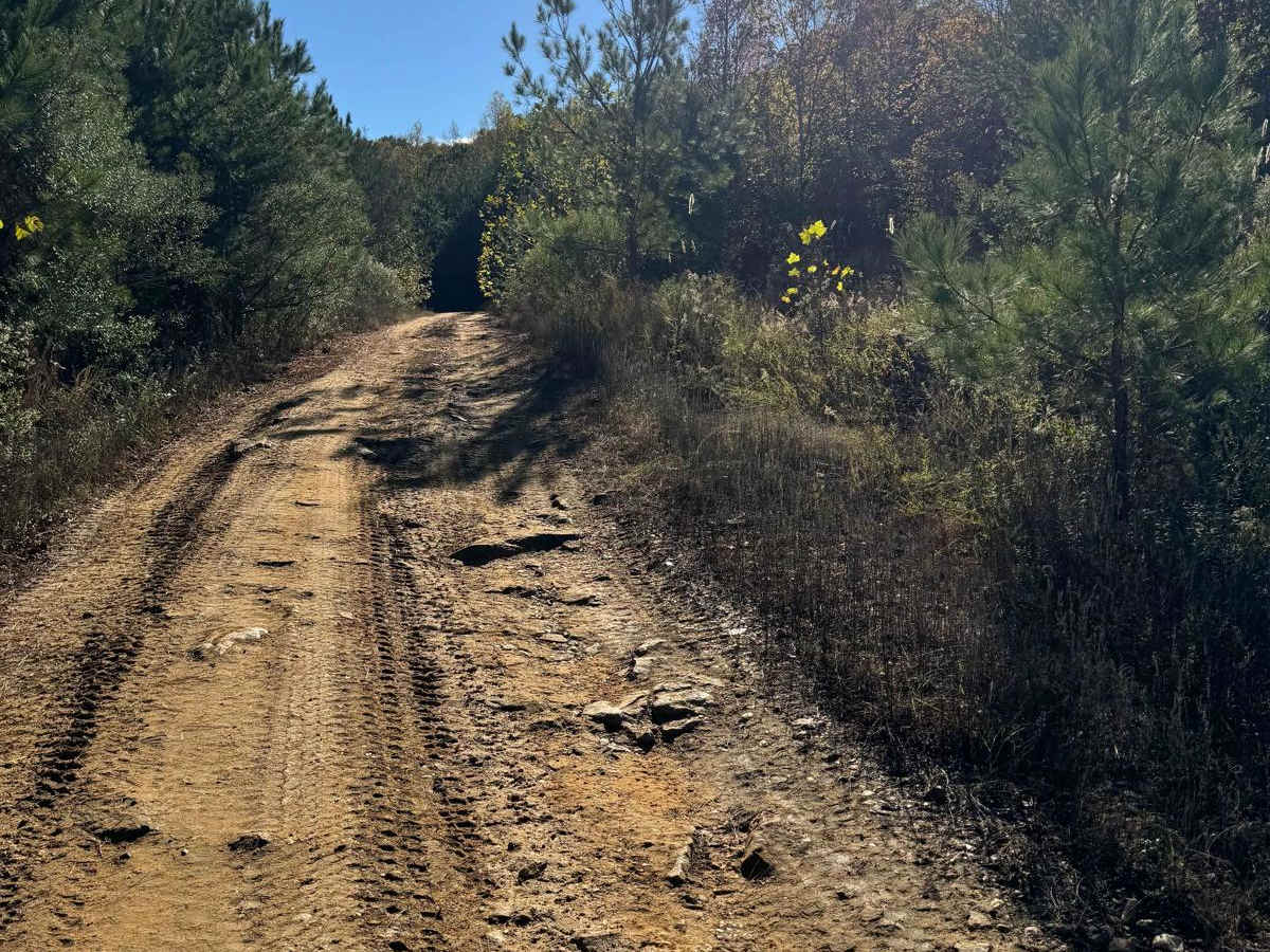 #88 John's Way trail photo