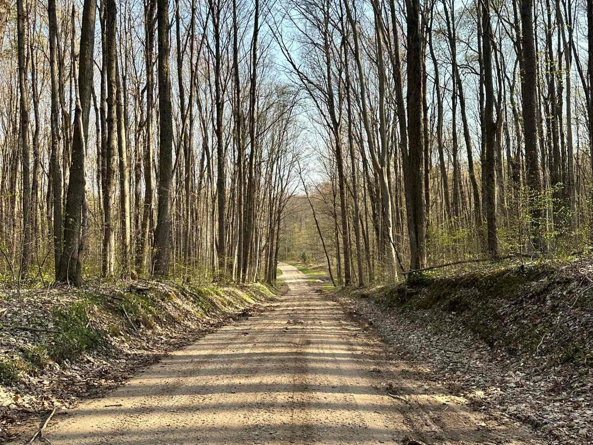 Cadillac Area ORV/OHV Scenic Ride - Part 6 photo 2