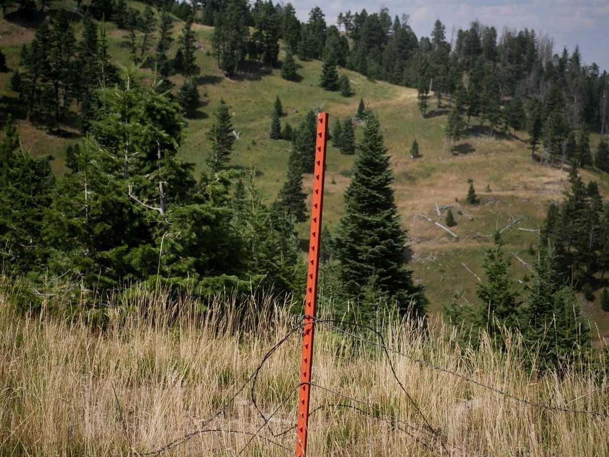 Willow Creek South ATV photo 4