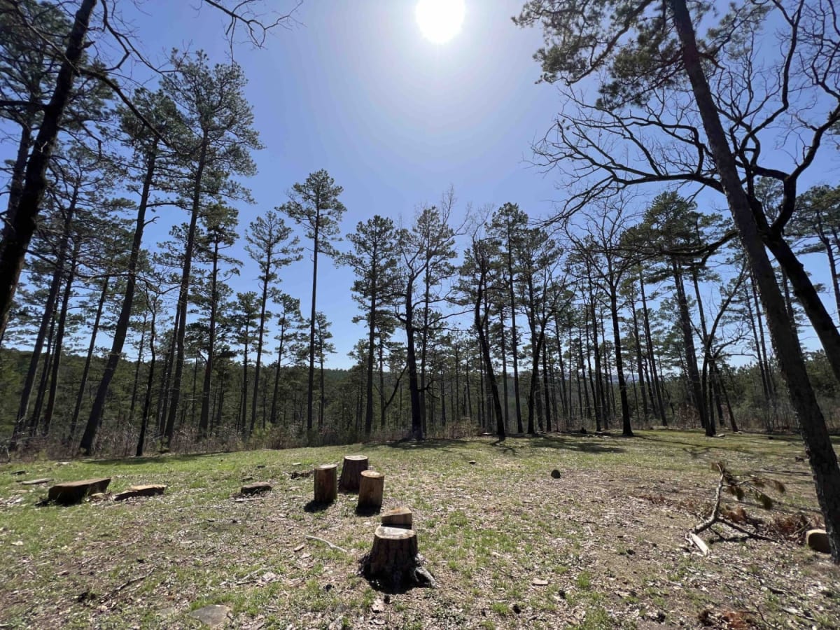 Taylor Branch 705 photo 4