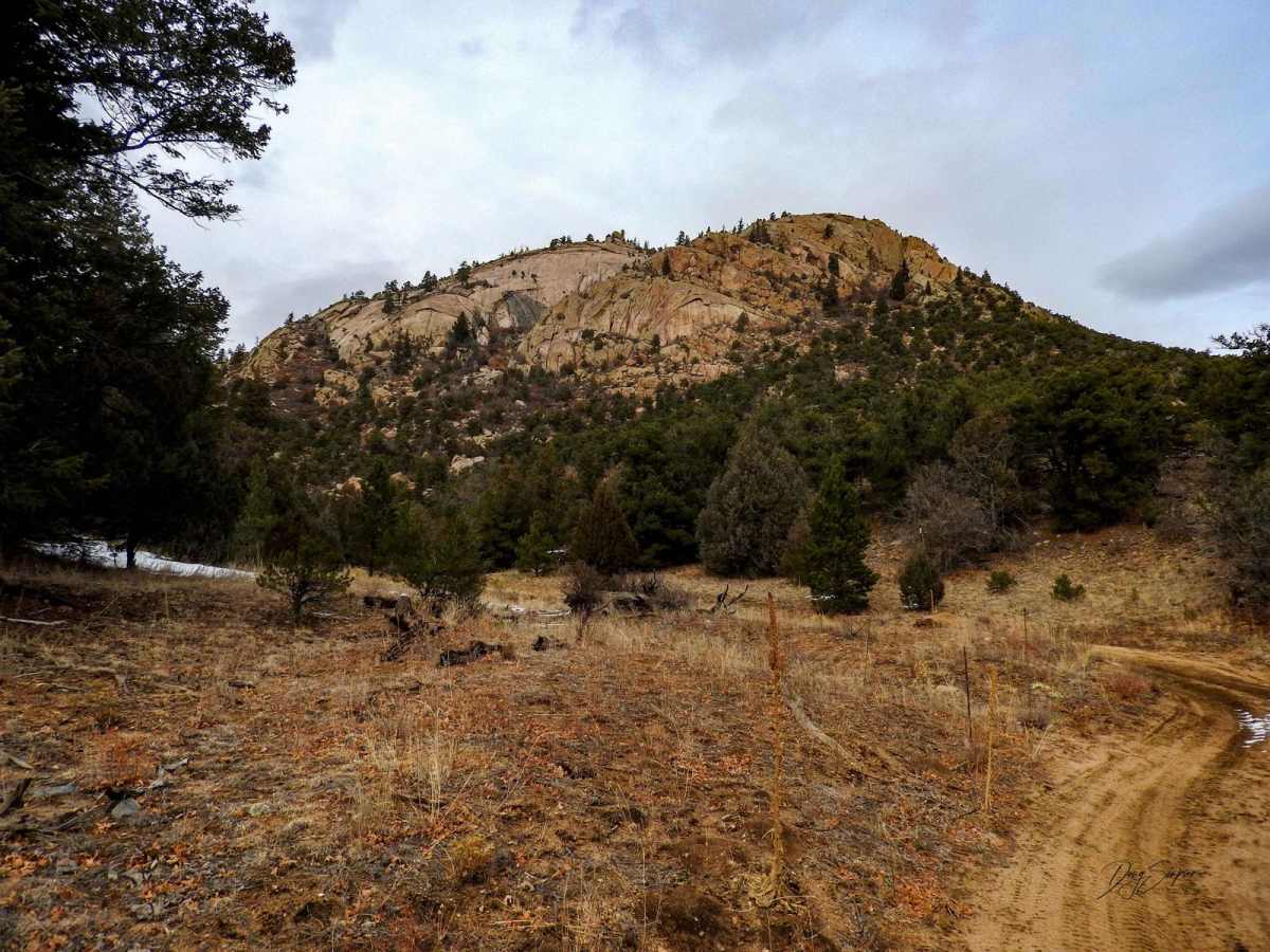 BLM 6045 photo 6